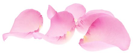 Fotolia  Subscription Monthly C